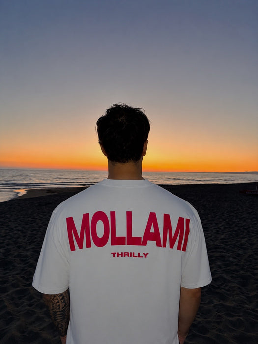 MOLLAMI